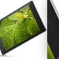 Black Nexus 9 with Leaves Wallpaper Mockup