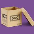 Moving Packaging Box Mockup