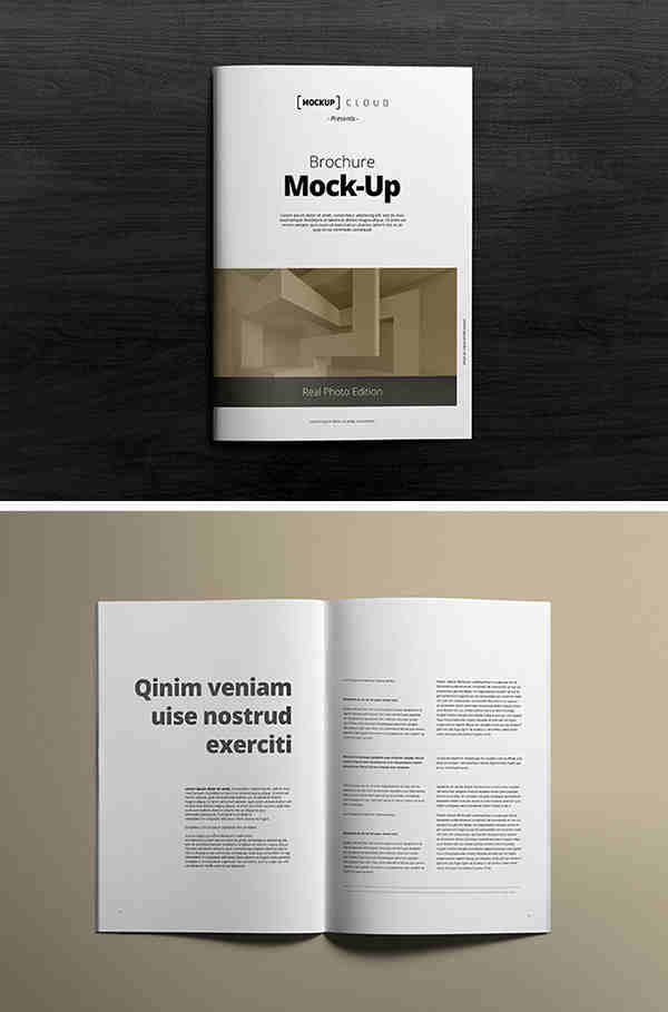 2 Clean A4 Brochure Mockups