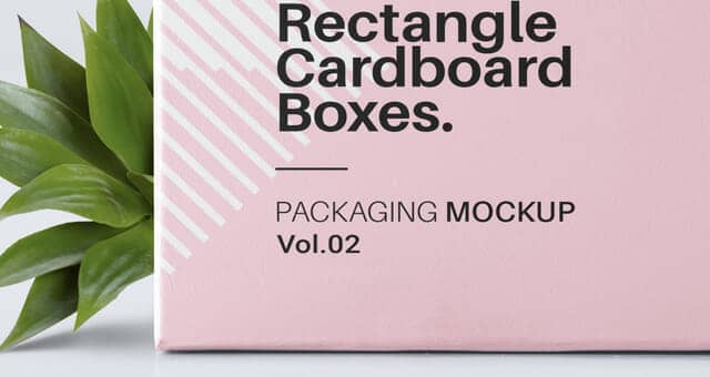 New Rectangular Box Mockup